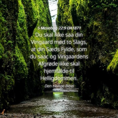 Picture 04 - 5 Mosebog 22:9 DA1871 - Du skal ikke saa din Vingaard med to Slags, at - Bible Verse Picture