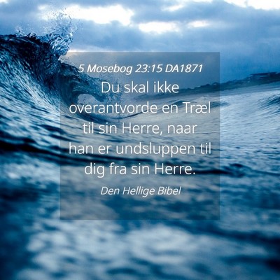 Picture 04 - 5 Mosebog 23:15 DA1871 - Du skal ikke overantvorde en Træl til sin Herre, - Bible Verse Picture