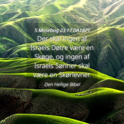 Picture 04 - 5 Mosebog 23:17 DA1871 - Der skal ingen af Israels Døtre være en Skøge, - Bible Verse Picture