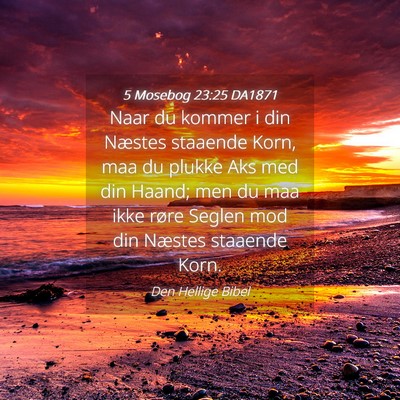 Picture 04 - 5 Mosebog 23:25 DA1871 - Naar du kommer i din Næstes staaende Korn, maa - Bible Verse Picture