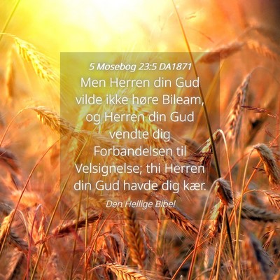 Picture 04 - 5 Mosebog 23:5 DA1871 - Men Herren din Gud vilde ikke høre Bileam, og - Bible Verse Picture