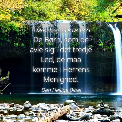 Picture 04 - 5 Mosebog 23:8 DA1871 - De Børn, som de avle sig i det tredje Led, de - Bible Verse Picture