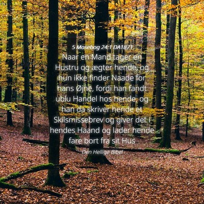 Picture 04 - 5 Mosebog 24:1 DA1871 - Naar en Mand tager en Hustru og ægter hende, og - Bible Verse Picture