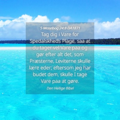 Picture 04 - 5 Mosebog 24:8 DA1871 - Tag dig i Vare for Spedalskheds Plage, saa at du - Bible Verse Picture