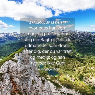 Picture 04 - 5 Mosebog 25:18 DA1871 - hvorledes han kom imod dig paa Vejen og slog din - Bible Verse Picture