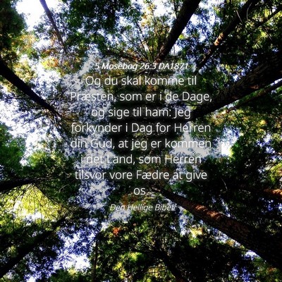 Picture 04 - 5 Mosebog 26:3 DA1871 - Og du skal komme til Præsten, som er i de Dage, - Bible Verse Picture