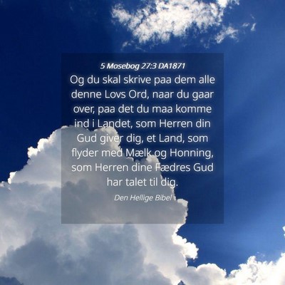 Picture 04 - 5 Mosebog 27:3 DA1871 - Og du skal skrive paa dem alle denne Lovs Ord, - Bible Verse Picture