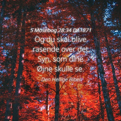 Picture 04 - 5 Mosebog 28:34 DA1871 - Og du skal blive rasende over det Syn, som dine - Bible Verse Picture