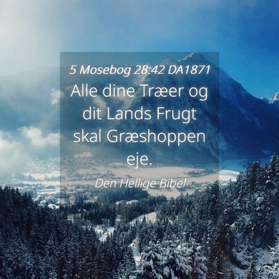 Picture 04 - 5 Mosebog 28:42 DA1871 - Alle dine Træer og dit Lands Frugt skal - Bible Verse Picture