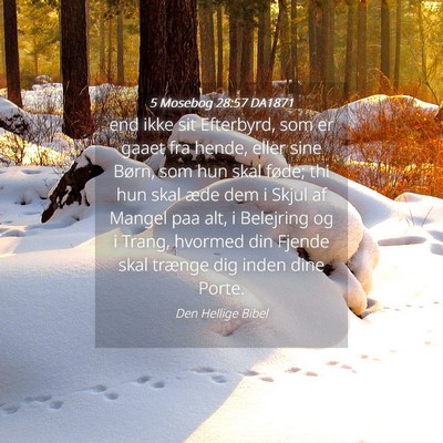 Picture 04 - 5 Mosebog 28:57 DA1871 - end ikke sit Efterbyrd, som er gaaet fra hende, - Bible Verse Picture