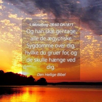 Picture 04 - 5 Mosebog 28:60 DA1871 - Og han skal gentage alle de ægyptiske Sygdomme - Bible Verse Picture