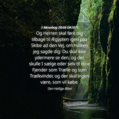 Picture 04 - 5 Mosebog 28:68 DA1871 - Og Herren skal føre dig tilbage til Ægypten - Bible Verse Picture