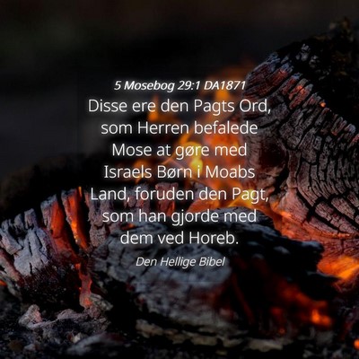 Picture 04 - 5 Mosebog 29:1 DA1871 - Disse ere den Pagts Ord, som Herren befalede Mose - Bible Verse Picture