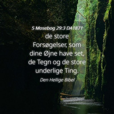 Picture 04 - 5 Mosebog 29:3 DA1871 - de store Forsøgelser, som dine Øjne have set, - Bible Verse Picture