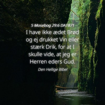 Picture 04 - 5 Mosebog 29:6 DA1871 - I have ikke ædet Brød og ej drukket Vin eller - Bible Verse Picture