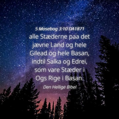 Picture 04 - 5 Mosebog 3:10 DA1871 - alle Stæderne paa det jævne Land og hele Gilead - Bible Verse Picture