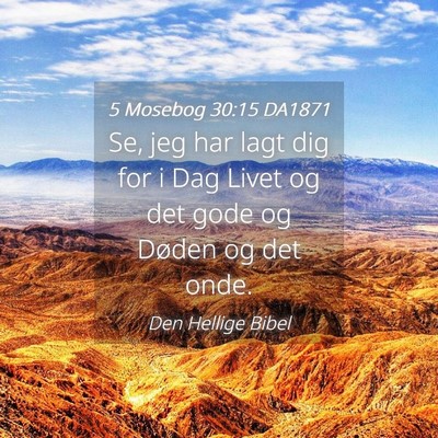 Picture 04 - 5 Mosebog 30:15 DA1871 - Se, jeg har lagt dig for i Dag Livet og det gode - Bible Verse Picture
