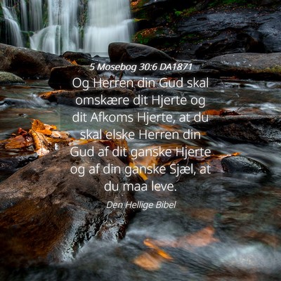 Picture 04 - 5 Mosebog 30:6 DA1871 - Og Herren din Gud skal omskære dit Hjerte og dit - Bible Verse Picture