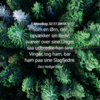 Picture 04 - 5 Mosebog 32:11 DA1871 - Som en Ørn, der opvækker sin Rede, svæver over - Bible Verse Picture