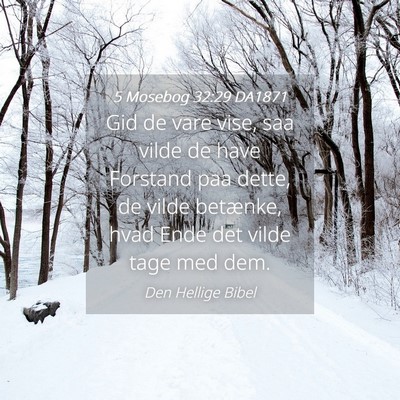 Picture 04 - 5 Mosebog 32:29 DA1871 - Gid de vare vise, saa vilde de have Forstand paa - Bible Verse Picture