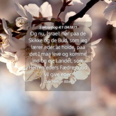 Picture 04 - 5 Mosebog 4:1 DA1871 - Og nu, Israel! hør paa de Skikke og de Bud, som - Bible Verse Picture
