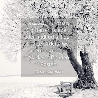 Picture 04 - 5 Mosebog 4:12 DA1871 - Og Herren talede til eder midt ud af Ilden; I - Bible Verse Picture