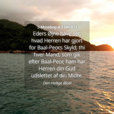 Picture 04 - 5 Mosebog 4:3 DA1871 - Eders Øjne have set, hvad Herren har gjort for - Bible Verse Picture