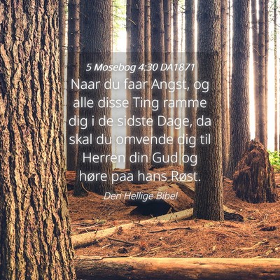 Picture 04 - 5 Mosebog 4:30 DA1871 - Naar du faar Angst, og alle disse Ting ramme dig - Bible Verse Picture