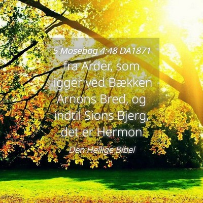 Picture 04 - 5 Mosebog 4:48 DA1871 - fra Arder, som ligger ved Bækken Arnons Bred, og - Bible Verse Picture