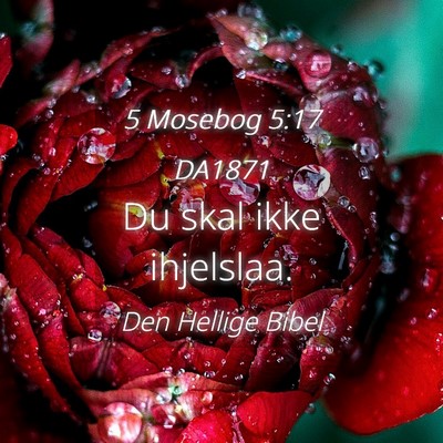 Picture 04 - 5 Mosebog 5:17 DA1871 - Du skal ikke - Bible Verse Picture