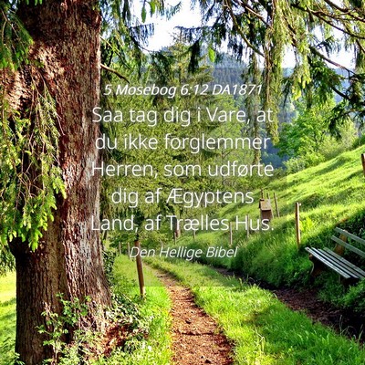 Picture 04 - 5 Mosebog 6:12 DA1871 - Saa tag dig i Vare, at du ikke forglemmer Herren, - Bible Verse Picture