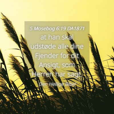 Picture 04 - 5 Mosebog 6:19 DA1871 - at han skal udstøde alle dine Fjender for dit - Bible Verse Picture