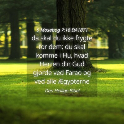 Picture 04 - 5 Mosebog 7:18 DA1871 - da skal du ikke frygte for dem; du skal komme i - Bible Verse Picture