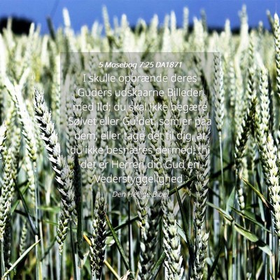 Picture 04 - 5 Mosebog 7:25 DA1871 - I skulle opbrænde deres Guders udskaarne - Bible Verse Picture