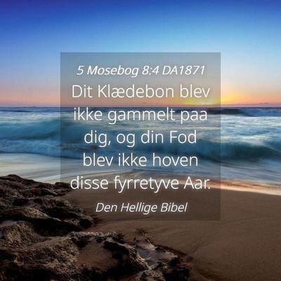 Picture 04 - 5 Mosebog 8:4 DA1871 - Dit Klædebon blev ikke gammelt paa dig, og din - Bible Verse Picture