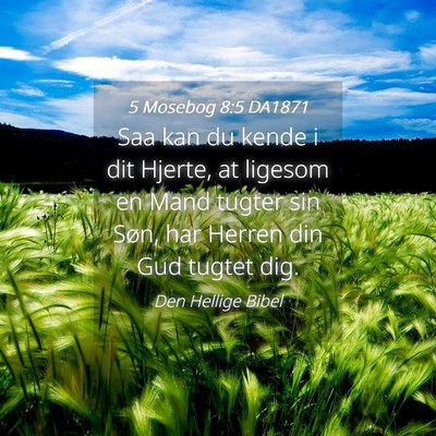 Picture 04 - 5 Mosebog 8:5 DA1871 - Saa kan du kende i dit Hjerte, at ligesom en Mand - Bible Verse Picture