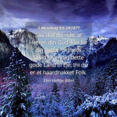 Picture 04 - 5 Mosebog 9:6 DA1871 - Saa skal du vide, at Herren din Gud ikke for din - Bible Verse Picture