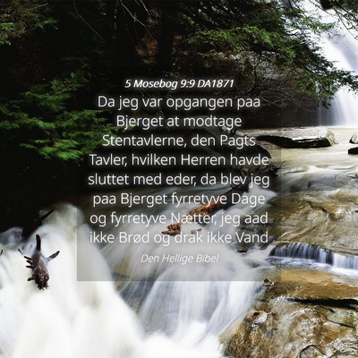 Picture 04 - 5 Mosebog 9:9 DA1871 - Da jeg var opgangen paa Bjerget at modtage - Bible Verse Picture