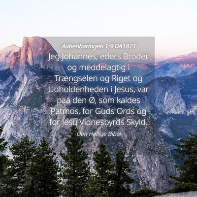 Picture 04 - Aabenbaringen 1:9 DA1871 - Jeg Johannes, eders Broder og meddelagtig i - Bible Verse Picture