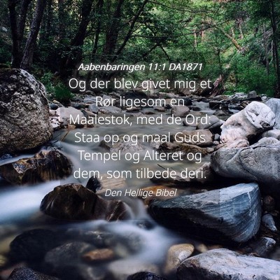 Picture 04 - Aabenbaringen 11:1 DA1871 - Og der blev givet mig et Rør ligesom en - Bible Verse Picture
