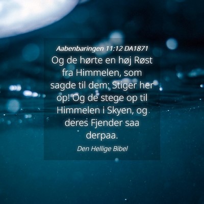 Picture 04 - Aabenbaringen 11:12 DA1871 - Og de hørte en høj Røst fra Himmelen, som - Bible Verse Picture