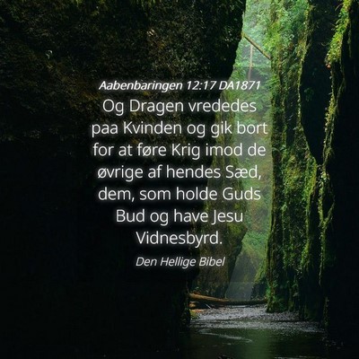 Picture 04 - Aabenbaringen 12:17 DA1871 - Og Dragen vrededes paa Kvinden og gik bort for at - Bible Verse Picture