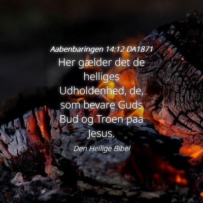 Picture 04 - Aabenbaringen 14:12 DA1871 - Her gælder det de helliges Udholdenhed, de, som - Bible Verse Picture