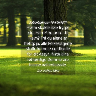 Picture 04 - Aabenbaringen 15:4 DA1871 - Hvem skulde ikke frygte dig, Herre! og prise dit - Bible Verse Picture