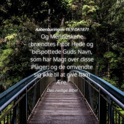 Picture 04 - Aabenbaringen 16:9 DA1871 - Og Menneskene brændtes i stor Hede og bespottede - Bible Verse Picture