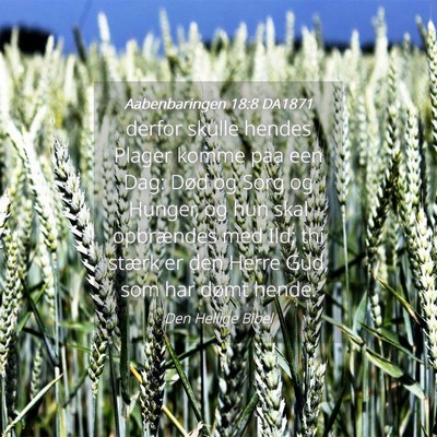 Picture 04 - Aabenbaringen 18:8 DA1871 - derfor skulle hendes Plager komme paa een Dag: - Bible Verse Picture