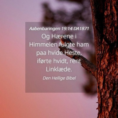 Picture 04 - Aabenbaringen 19:14 DA1871 - Og Hærene i Himmelen fulgte ham paa hvide Heste, - Bible Verse Picture
