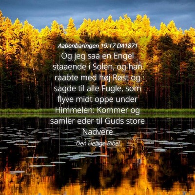 Picture 04 - Aabenbaringen 19:17 DA1871 - Og jeg saa en Engel staaende i Solen, og han - Bible Verse Picture