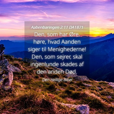 Picture 04 - Aabenbaringen 2:11 DA1871 - Den, som har Øre, høre, hvad Aanden siger til - Bible Verse Picture
