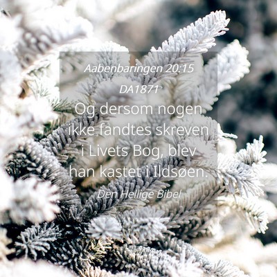 Picture 04 - Aabenbaringen 20:15 DA1871 - Og dersom nogen ikke fandtes skreven i Livets - Bible Verse Picture